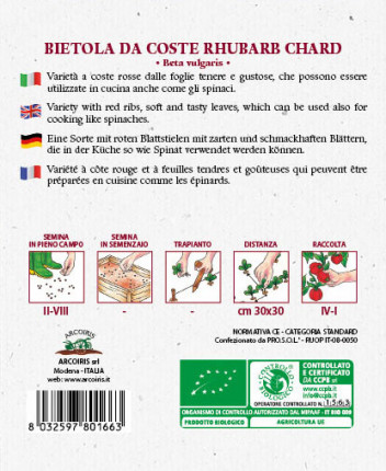 Bietola Rhubarb Chard - Sementi Biologiche