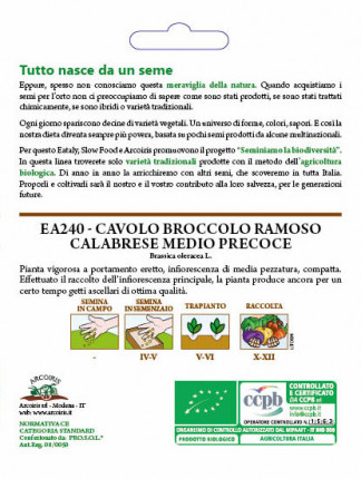 Cavolo Broccolo Ramoso Calabrese - Sementi Biologiche