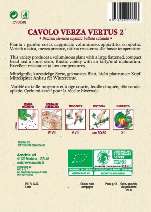 Cavolo Verza Vertus 2 - Sementi Biologiche