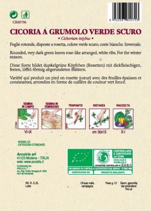 Cicoria a Grumolo Verde Scuro - Sementi Biologiche
