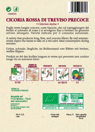 Cicoria Rossa di Treviso Precoce - Sementi Biologiche