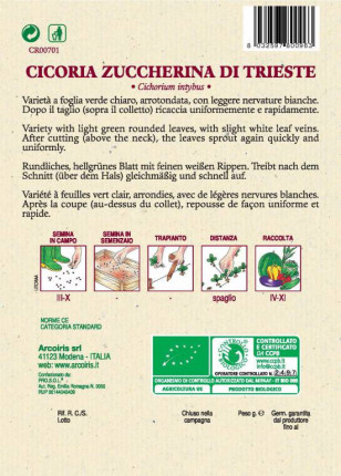 cicoria Zuccherina di Trieste - Sementi Biologiche