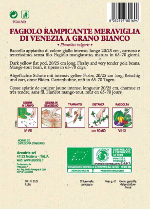 Fagiolo Rampicante Meraviglia di Venezia a Grano Bianco - Sementi Biologiche