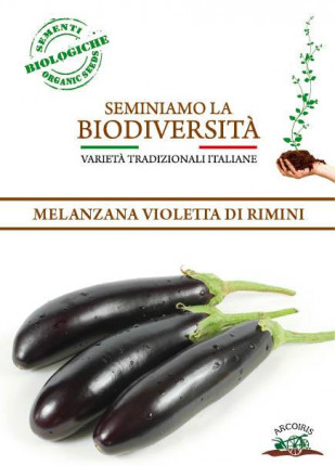 Melanzana Violetta Lunga Di Rimini - Sementi Biologiche